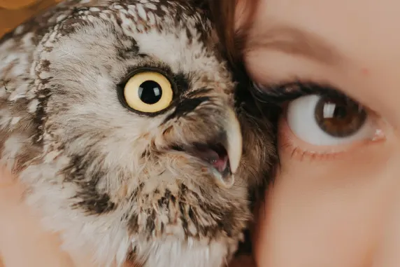 Cazino Palace of Chance Cazinou Suport